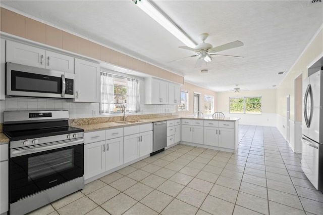 kitchen with a peninsula, appliances with stainless steel finishes, a sink, and a healthy amount of sunlight