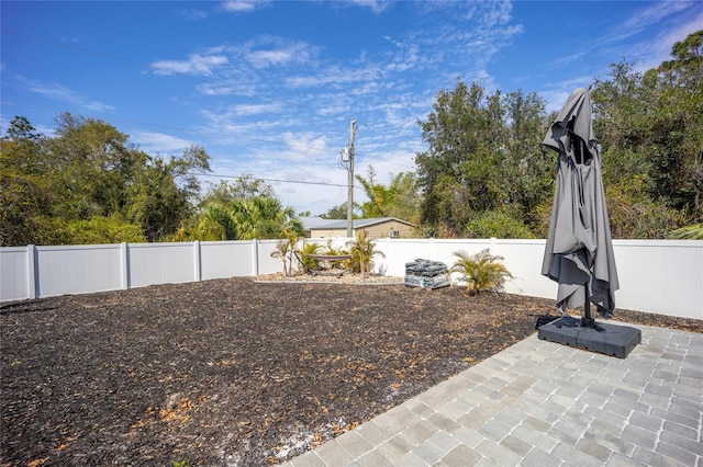 view of yard featuring a patio area and a fenced backyard