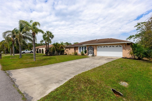 ranch-style home featuring driveway, an attached garage, a front yard, and stucco siding