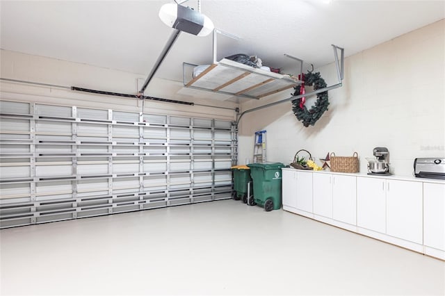 24321 Kintail Ct, Punta Gorda, FL 33980 - garage featuring a garage door opener