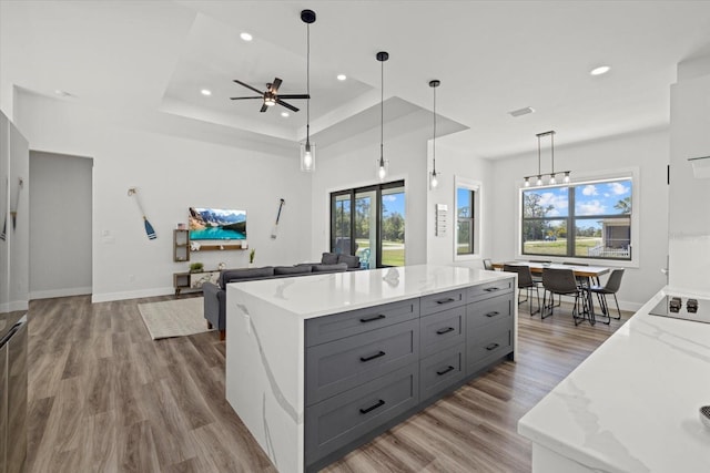 kitchen featuring wood finished floors, a tray ceiling, plenty of natural light, and gray cabinets