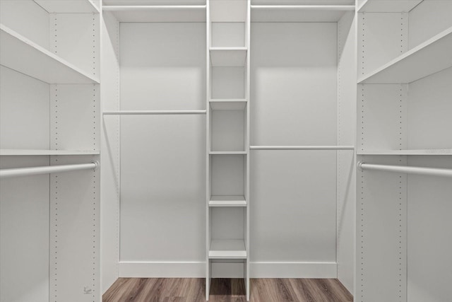 spacious closet featuring wood finished floors