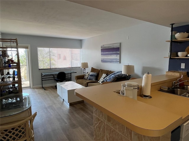 living area featuring wood finished floors