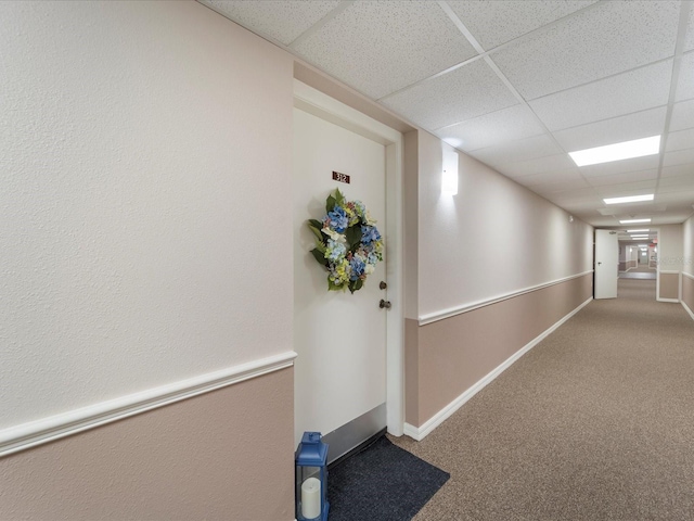 hall with baseboards, a paneled ceiling, and carpet floors