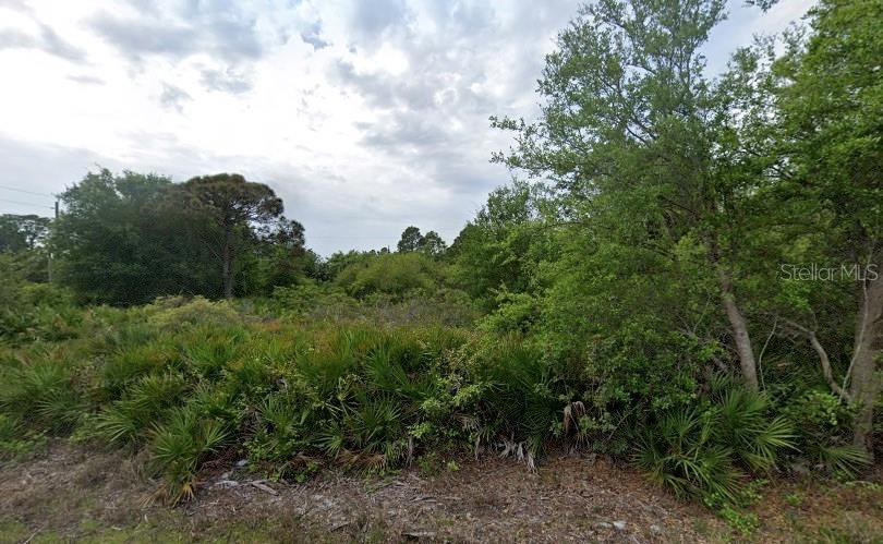 23517 Arlo Ave, Punta Gorda, FL 33980