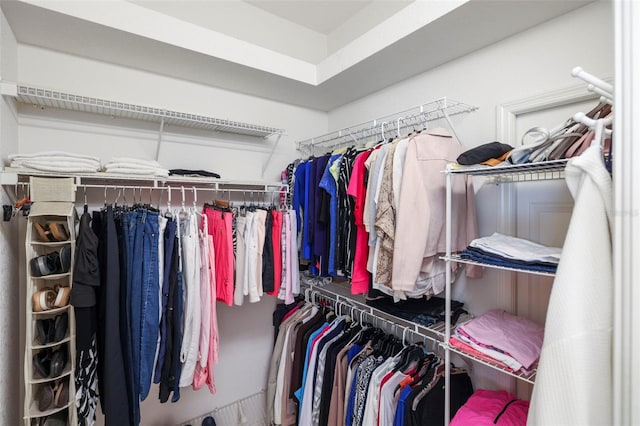 view of spacious closet