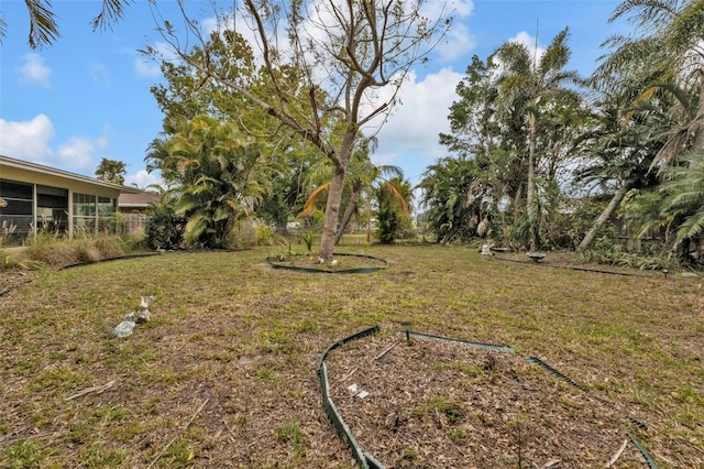 view of yard featuring a sunroom