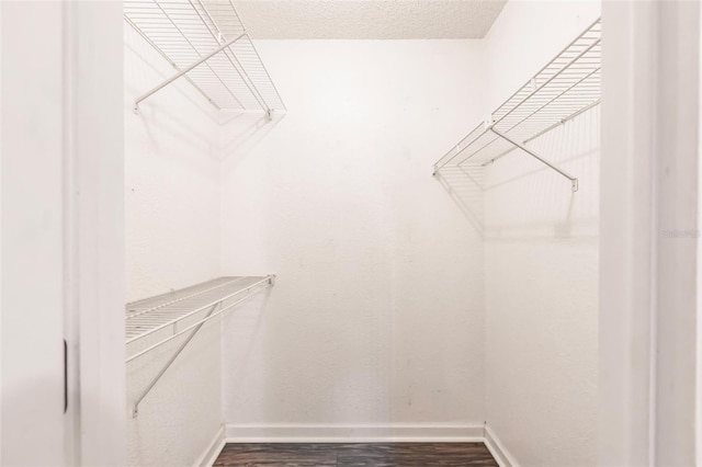 walk in closet featuring wood finished floors