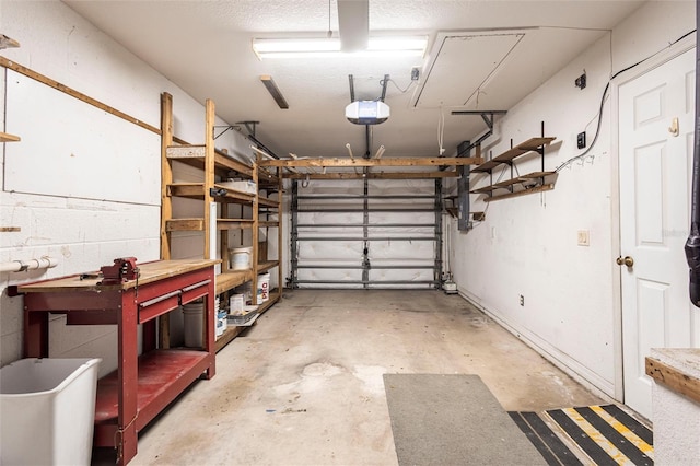 3436 Discovery Dr, Punta Gorda, FL 33983 - garage with a workshop area
