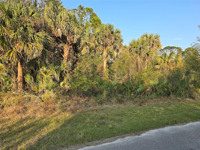 348 Ramblewood St, Port Charlotte FL, 33953 land for sale