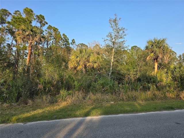 Listing photo 2 for 356 Ramblewood St, Port Charlotte FL 33953