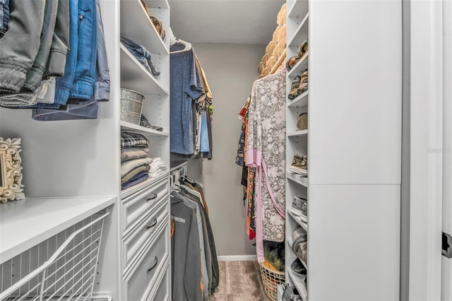 view of walk in closet