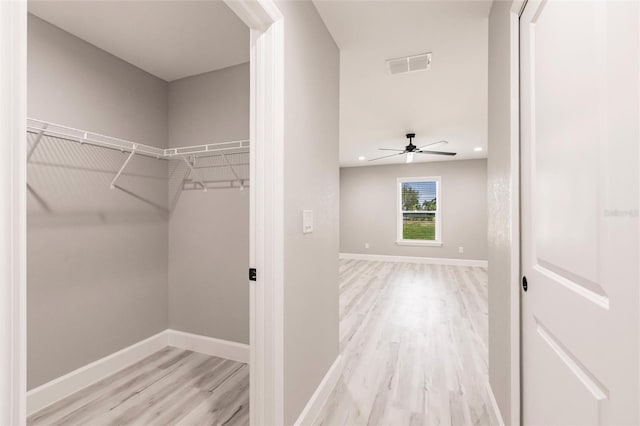 walk in closet with light wood-type flooring, visible vents, and ceiling fan