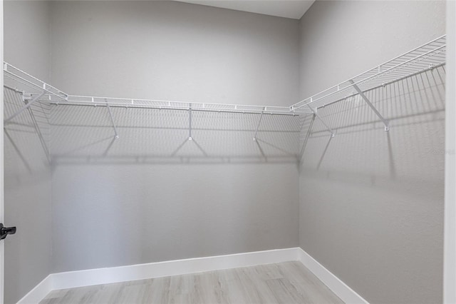 walk in closet featuring wood finished floors