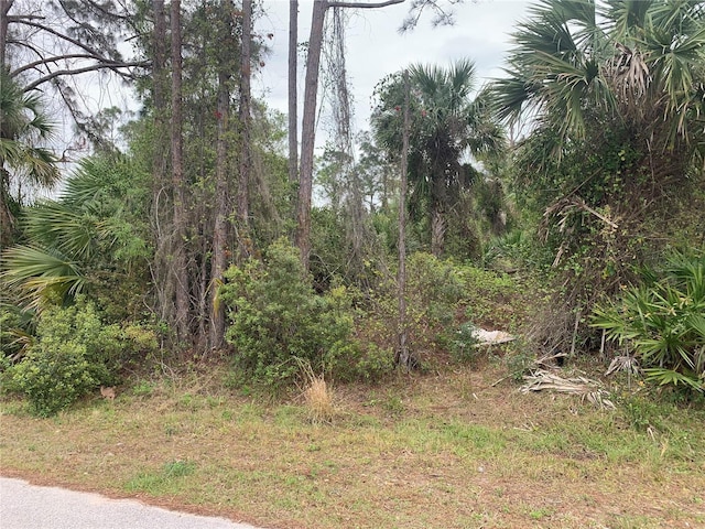 Cascabel Ter, North Port FL, 34286 land for sale