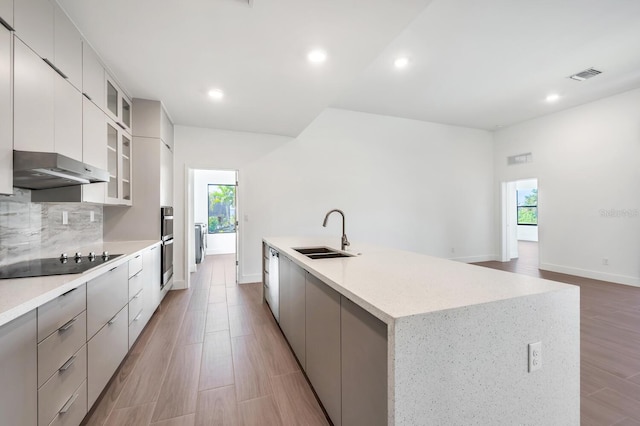 17261 Naiad Ct, Punta Gorda, FL 33955 - kitchen with a sink, modern cabinets, under cabinet range hood, black electric stovetop, and plenty of natural light