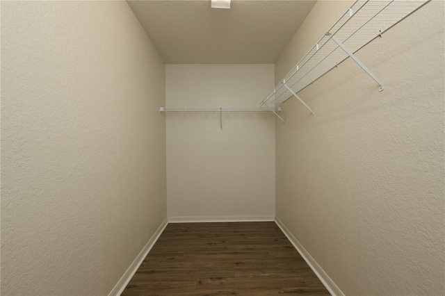 walk in closet with dark wood finished floors