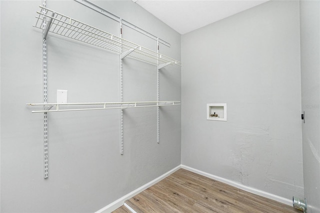 walk in closet featuring wood finished floors