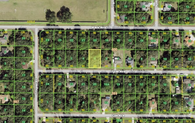 17388 Tyler Ave, Port Charlotte, FL 33948 - photo 3