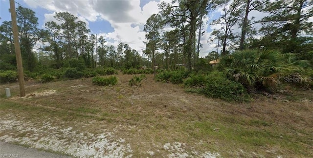 Listing photo 3 for 2902 E 23rd St, Alva FL 33920