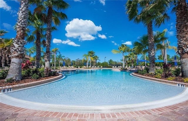 view of community pool