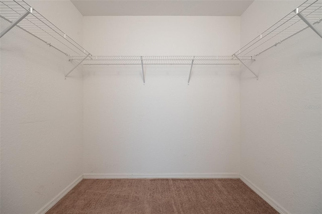 walk in closet with light colored carpet