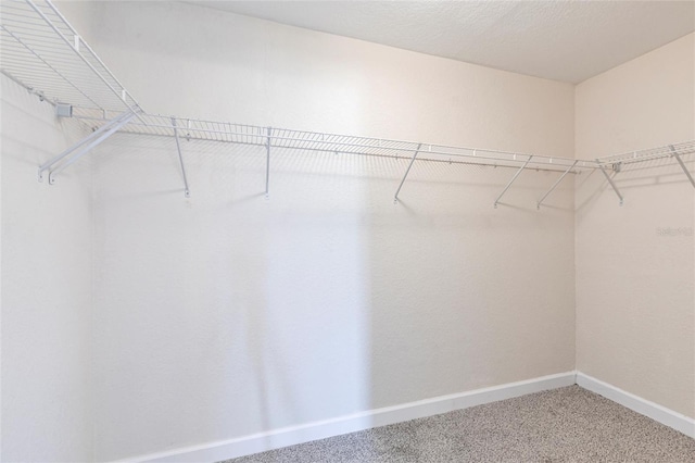 spacious closet with carpet floors