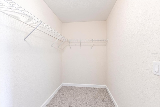 spacious closet featuring light colored carpet