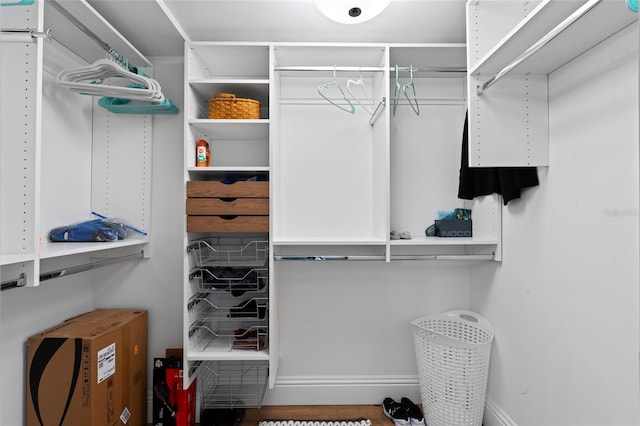 view of spacious closet