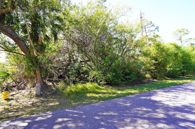 Listing photo 2 for 1603 Shilo St, Punta Gorda FL 33980