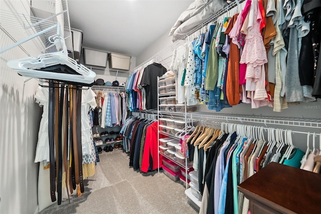 spacious closet with carpet floors