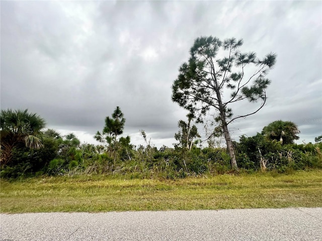 12113 Snow Bird Ave, Port Charlotte FL, 33981 land for sale