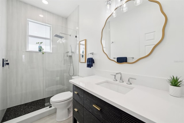 bathroom featuring toilet, vanity, and walk in shower