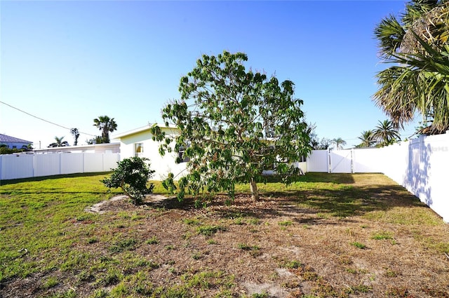 view of yard with a fenced backyard and a gate