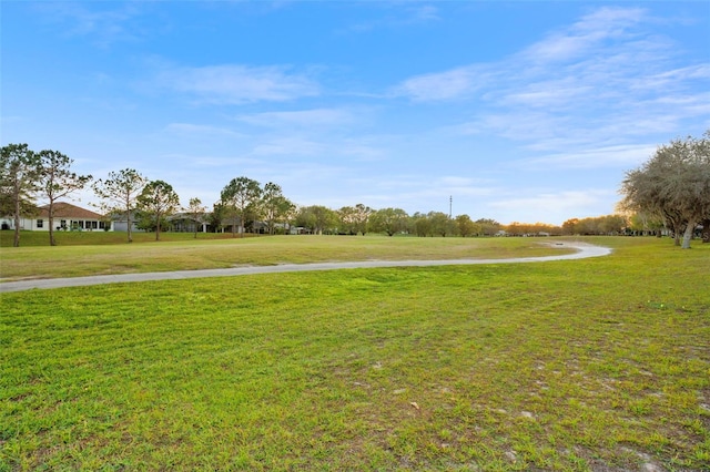 view of community featuring a lawn