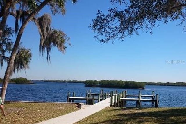 dock area with a water view