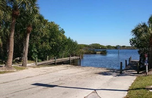 dock area with a water view