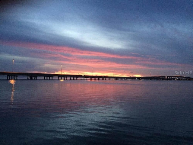 water view featuring a pier