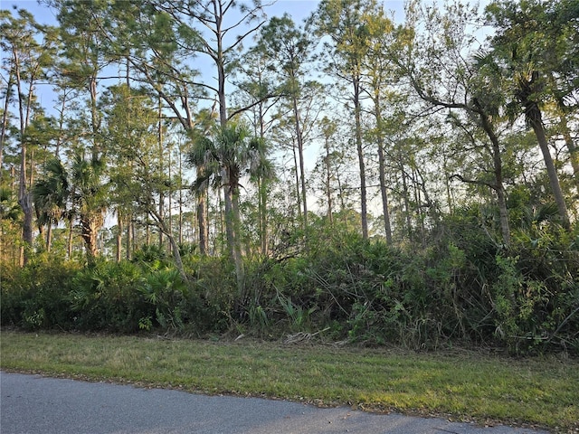 12469 Harlow Ave, Port Charlotte FL, 33953 land for sale