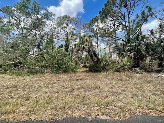 1041 Sherwin St, Port Charlotte FL, 33953 land for sale