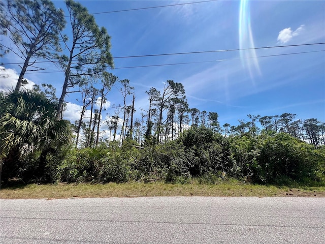 4460 Opel Ter, Port Charlotte FL, 33981 land for sale