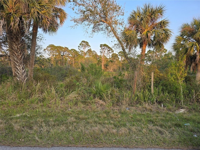 2592 Mcphearson Dr, Port Charlotte FL, 33953 land for sale