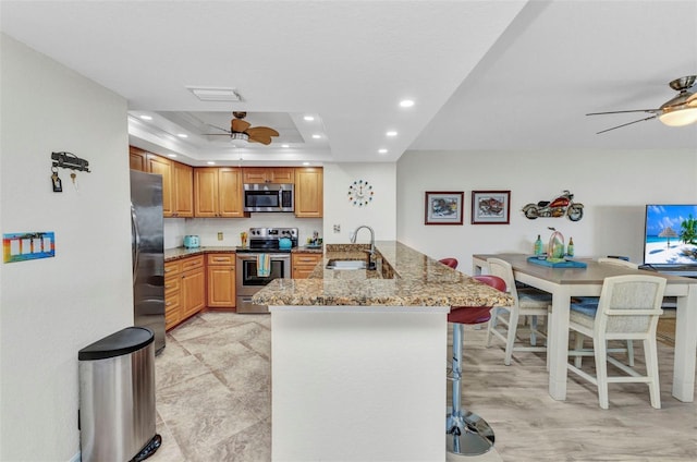 kitchen featuring a tray ceiling, appliances with stainless steel finishes, a peninsula, a ceiling fan, and a sink