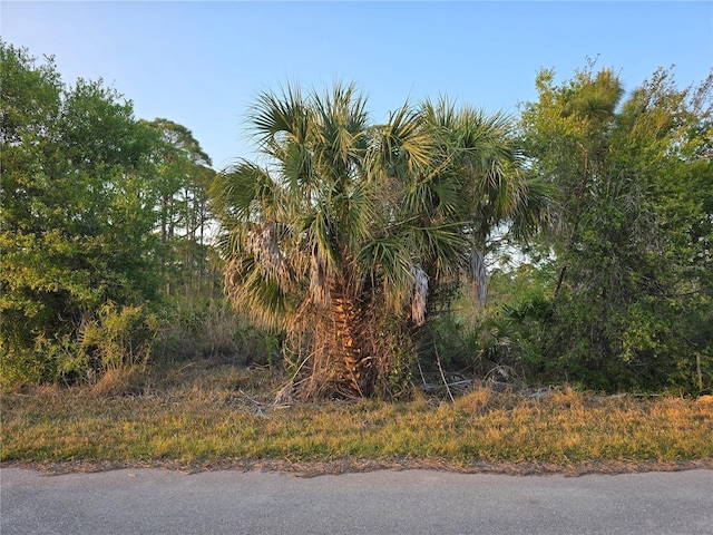 13510 Suribachi Ave, Port Charlotte FL, 33953 land for sale