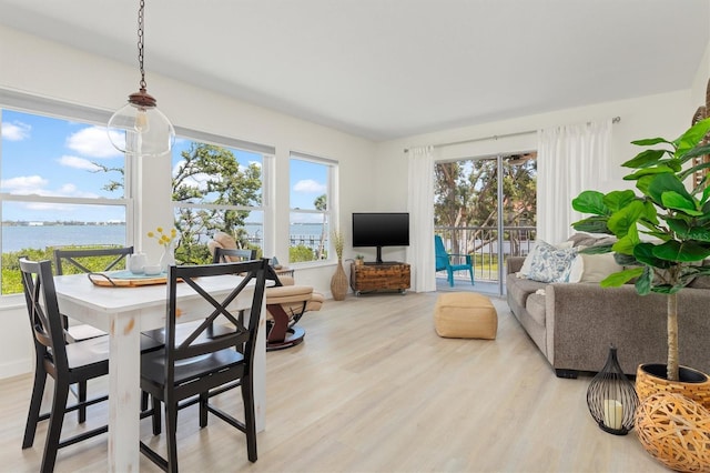 living room featuring light wood-style floors and a water view