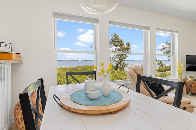 dining room featuring a healthy amount of sunlight