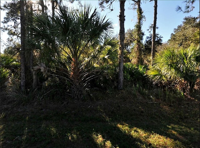 Ruiz St, North Port FL, 34286 land for sale