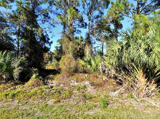 Renfro Ave, North Port FL, 34286 land for sale