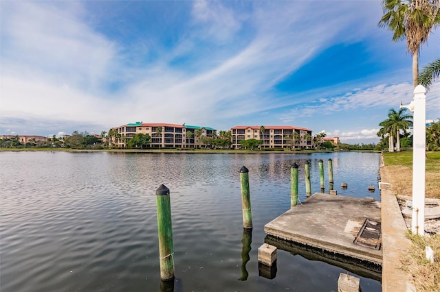 dock area with a water view