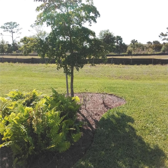 view of yard with a rural view